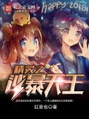 (宠物小精灵同人)精灵之沙暴天王