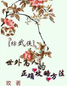 (综武侠同人)世外高人的正确攻略方法