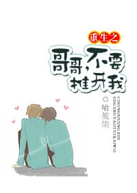 重生之哥哥,不要推开我