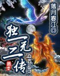 独一无二传