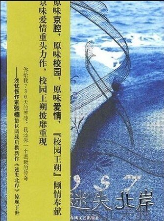 迷失北岸