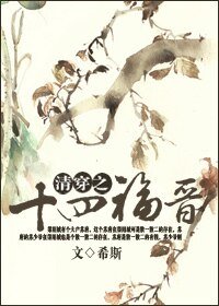清穿之十四福晋/清辉如雪