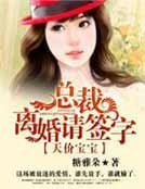天价宝宝·总裁,离婚请签字