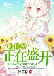 向日葵正在盛開