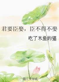 君要臣娶,臣不得不娶