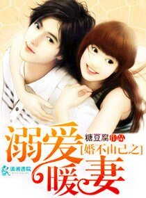 婚不由己之溺愛暖妻/小妻誘人