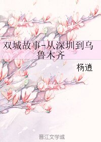双城故事-从深圳到乌鲁木齐