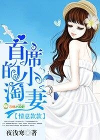 情意款款,首席的小淘妻/专属宝贝,总裁的小淘妻