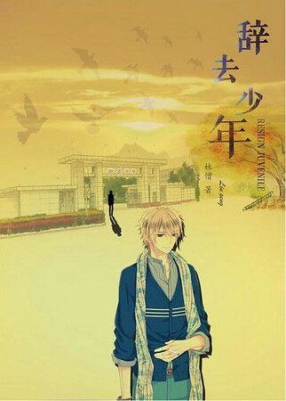 辞去 少年