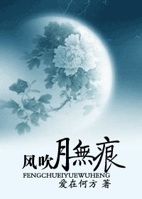 风吹月无痕