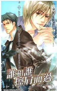 谁和谁擦肩而过(出书版)