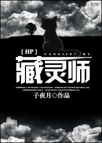 (HP同人)藏灵师