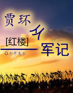 (红楼同人)贾环从军记