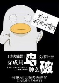 (功夫熊猫同人)穿成只鸟肿么破