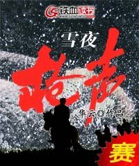 雪夜枪声