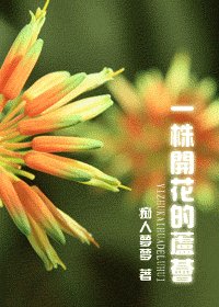 一株開花的蘆薈