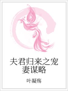夫君归来之宠妻谋略