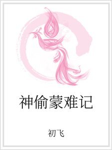 神偷蒙難記