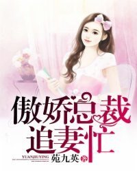 傲搅總裁,追妻忙