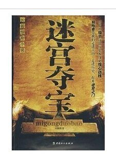 迷宫夺宝(出书版)