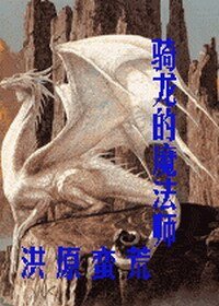 騎龍的魔法師