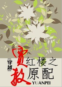 (红楼同人)穿越红楼之贾赦原配