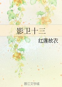 影卫十三
