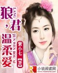 狼君,温柔爱