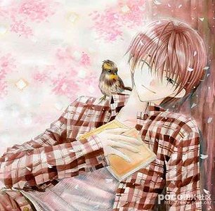 (网王同人)我不是来捣乱的!