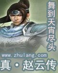 真赵云传