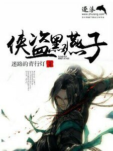 侠盗黑燕子