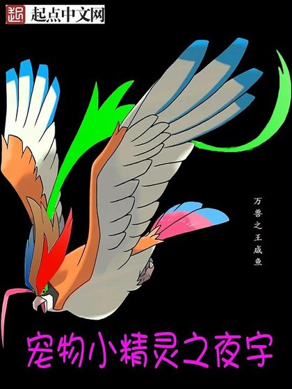 《寵物小精靈之夜宇》