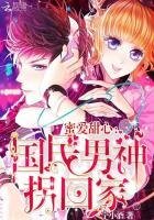 蜜爱甜心:国民男神拐回家
