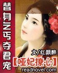 替身乞丐夺君宠/何处最相思:哑妃撩心