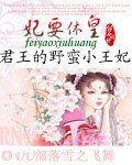 妃要休皇:君王的野蛮小王妃