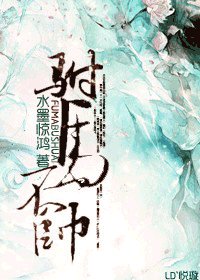 驸马不帅