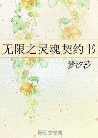无限之灵魂契约书