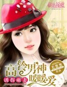 誘拐萌妻:高冷男神暖暖愛