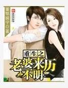 重生之老婆来历不明