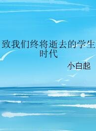致我们终将逝去的学生时代