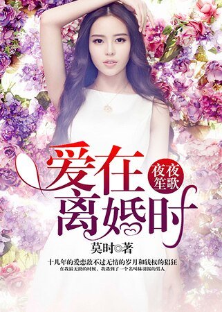 夜夜笙歌:爱在离婚时