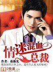 古堡奇缘:情迷混血总裁