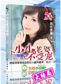 三嫁豪门:小小老婆不受宠