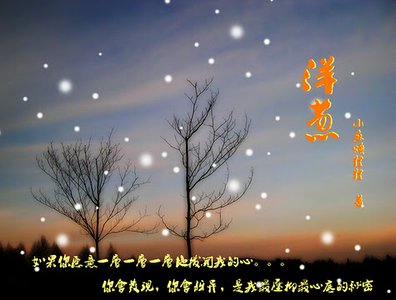 洋葱(修改版)