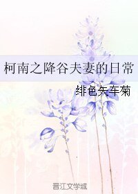 (柯南同人)柯南之降谷夫妻的日常