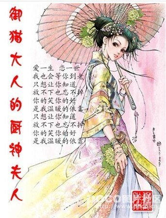 (七五同人)御猫大人的厨神夫人