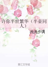 (BG/独孤天下同人)许你半世繁华(半壶同人)