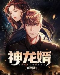 《神龍婿》
