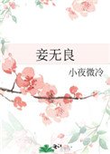 妾無良(作者:小夜微冷)