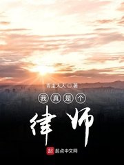 我真是个律师